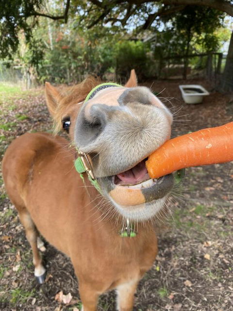 Kongwak Views - Travel Search 2