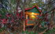 Lake Eacham Tourist Park & Cabins - thumb 3