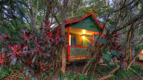 Lake Eacham Tourist Park & Cabins - Cruises Travel 3
