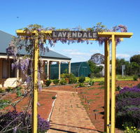 Lavendale Farmstay and Cottages York - Cruises Travel