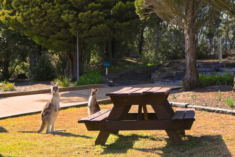 Leura Lodge At Mt Victoria - Travel Agents 2