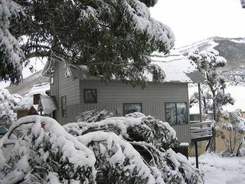 Magpies Nest - Cruises Travel 0