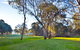 Mansfield Country Resort - thumb 1
