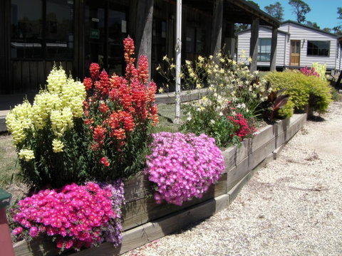 Mansfield Holiday Park - Tourism Guide 3