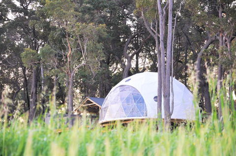 Mile End Glamping Pty Ltd - Travel Search 2