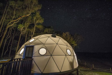 Mile End Glamping Pty Ltd - Travel Search 3