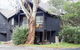 Milkwood - thumb 0