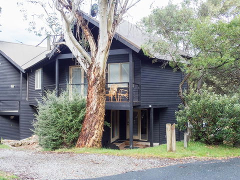 Milkwood - Cruises Travel 0