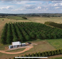 Millthorpe Truffles - Gorgeous getaway for 2 - Travel Search