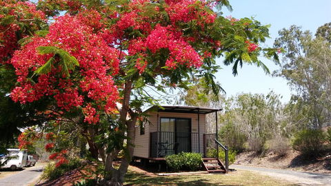 Mt Larcom Tourist Park - Travel Search 0