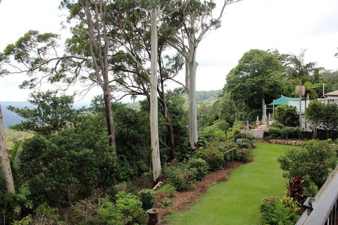 Mt Tamborine Motel - Travel Search 2