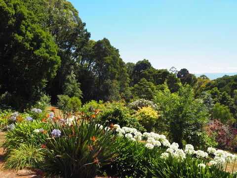 Murrindindi - Travel Search 0