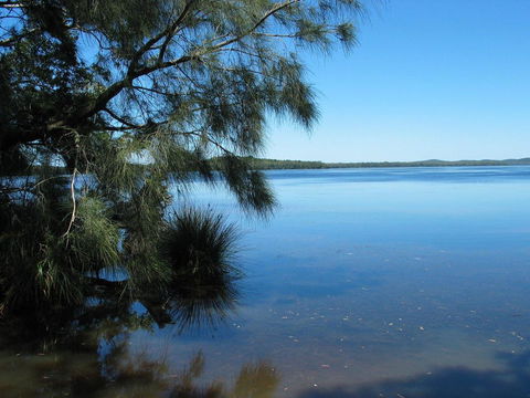 Myall River Magic - Travel Agents 1