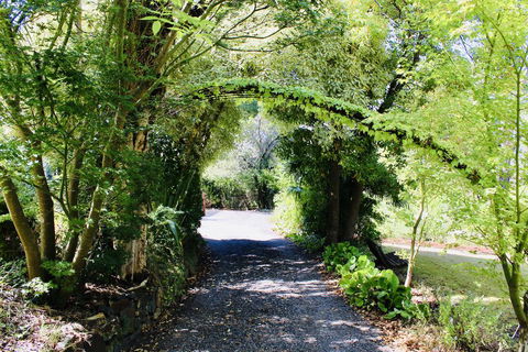 Nagoondie Studio - Tourism Guide 1