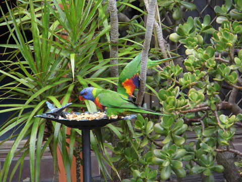Nanango Fitzroy Motel - Travel Agents 2