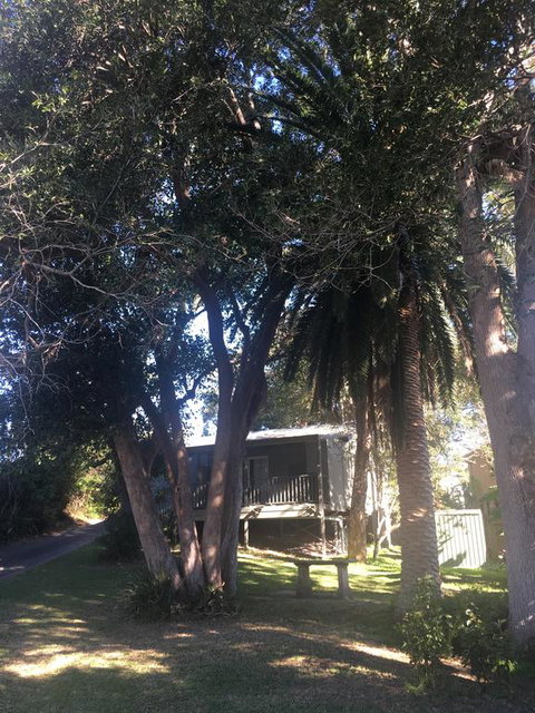 Neds On Northcote - Tourism Guide 0