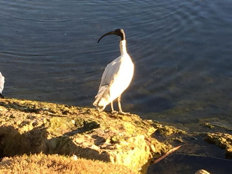 Lakeside Views - Tourism Guide 16