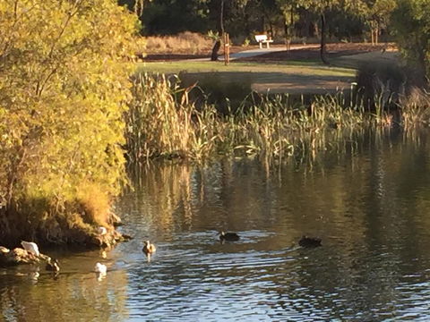Lakeside Views - Tourism Guide 15