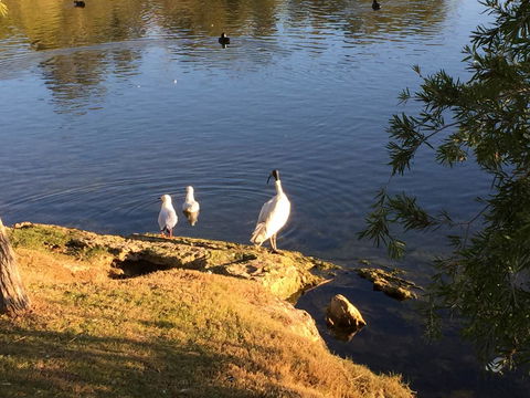 Lakeside Views - Tourism Guide 19