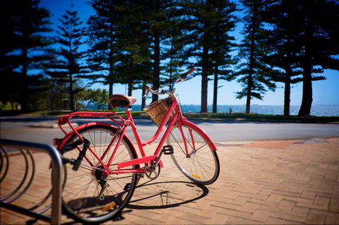 Cottesloe Artist's Beach Retreat - Travel Search 31