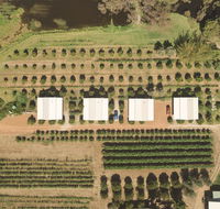 Swan Valley Sisters - Tourism Guide