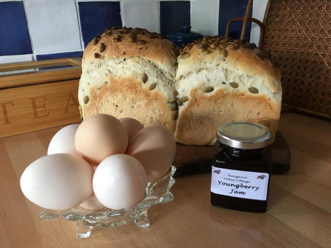 Kangaroo Valley Cottage - Tourism Guide 14