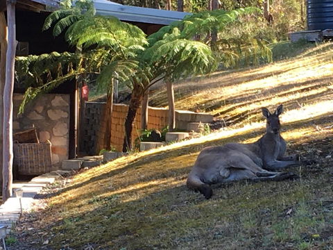 Kangaroo Valley Cottage - Tourism Guide 3
