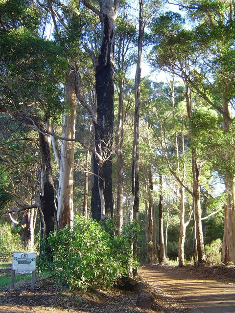 Kangaroo Valley Cottage - Tourism Guide 21