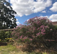 Cockburn Retreat Home  - Tourism Guide