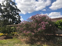Book Cockburn Central Accommodation Vacations Travel Search Travel Search