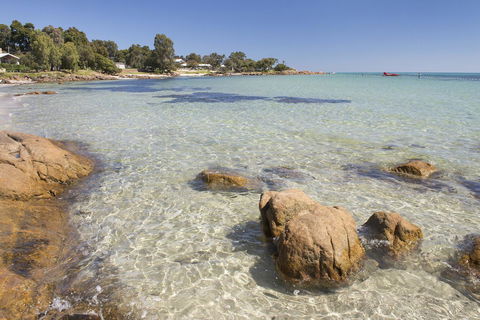 Calm Waters - Cruises Travel 4