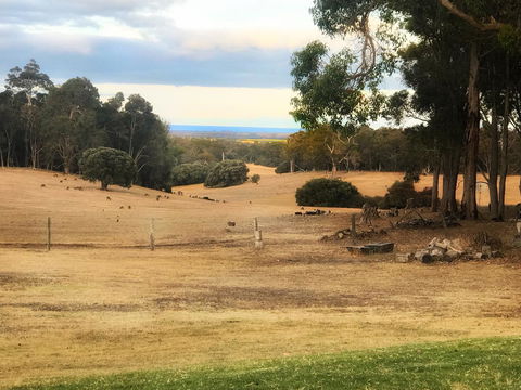 For The Birds Yallingup - Travel Agents 28