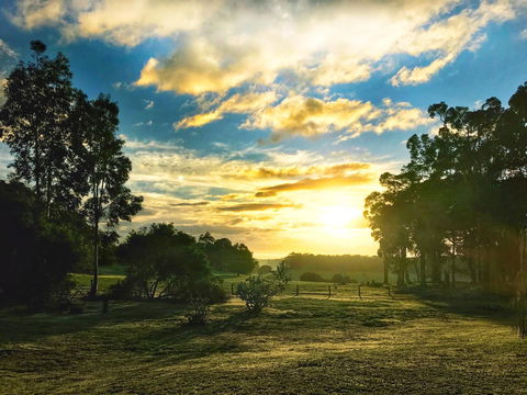 For The Birds Yallingup - Travel Agents 23