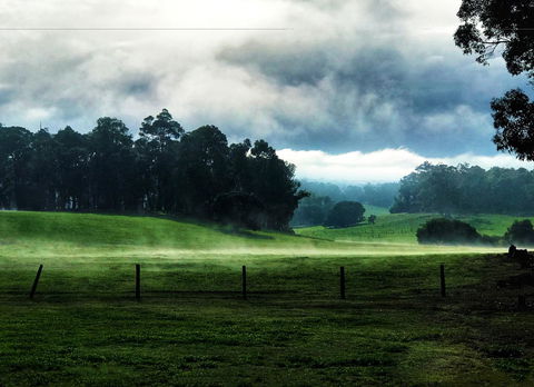 For The Birds Yallingup - Travel Agents 25