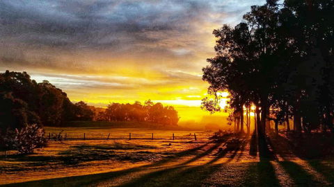 For The Birds Yallingup - Travel Agents 26