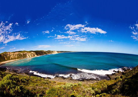 For The Birds Yallingup - Travel Agents 31