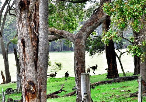 For The Birds Yallingup - Travel Agents 22