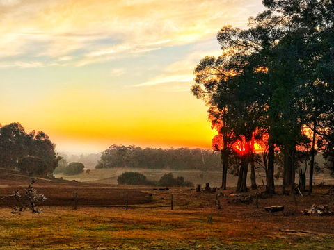 For The Birds Yallingup - Travel Agents 24