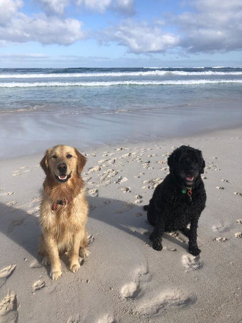 The Bothy Lancelin Family Retreat - Travel Search 32