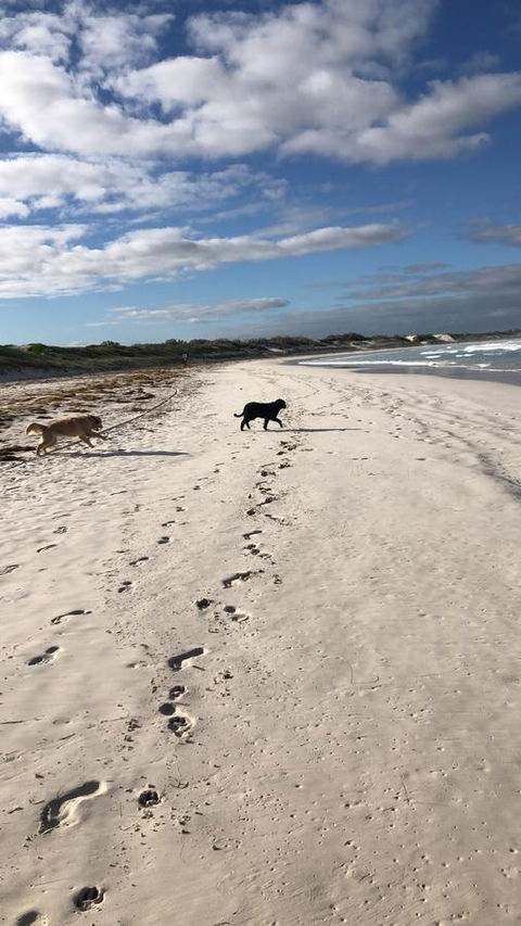 The Bothy Lancelin Family Retreat - Travel Search 30
