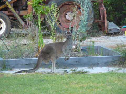 Nannup Bush Retreat - Travel Agents 38