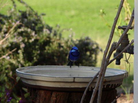 Big Brook Retreat - Travel Agents 6