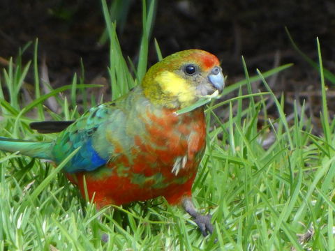 Big Brook Retreat - Travel Agents 13