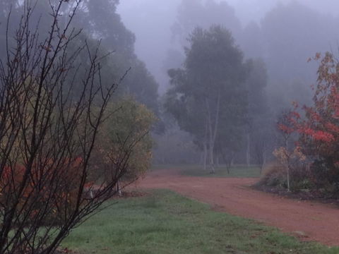 Big Brook Retreat - Travel Agents 14