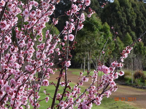 Big Brook Retreat - Travel Agents 9