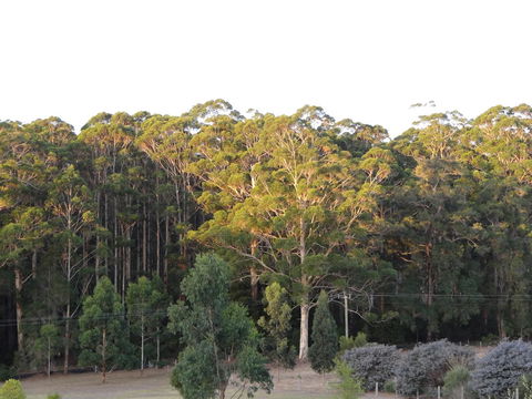 Big Brook Retreat - Travel Agents 11