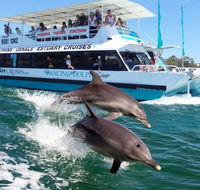 Belvedere Caravan Park - Tourism Guide