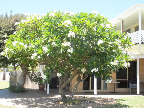 Kalbarri Riverfront Unit - Tourism Guide 6