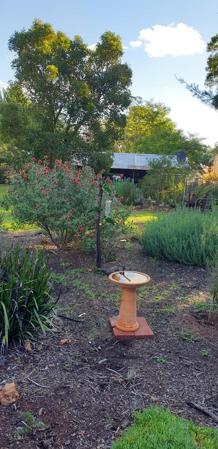 Di's Cabin In Dwellingup - Travel Search 14