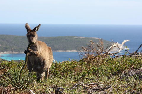 Bremer Bay B&B - Cruises Travel 30